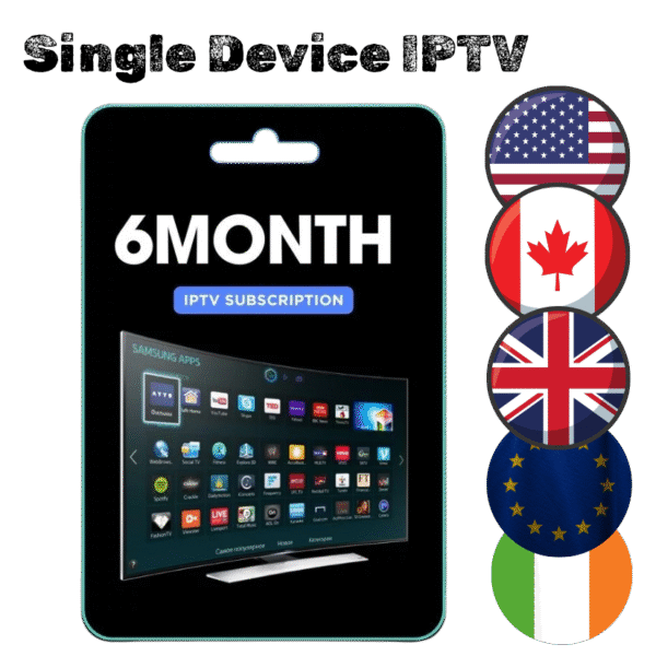 6 Months Plan